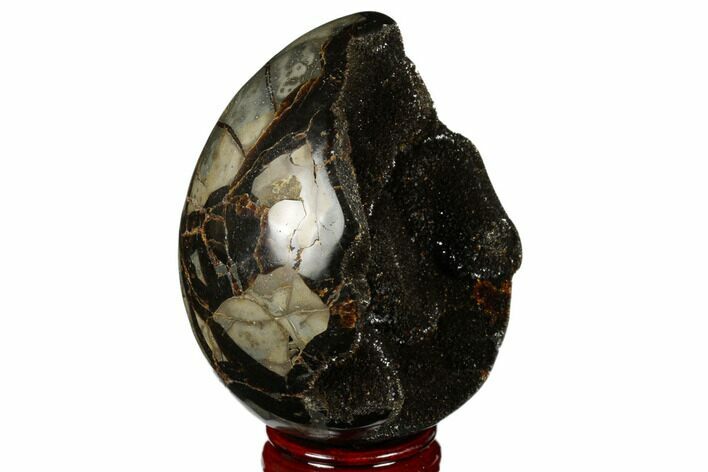Septarian Dragon Egg Geode - Black Crystals #177414